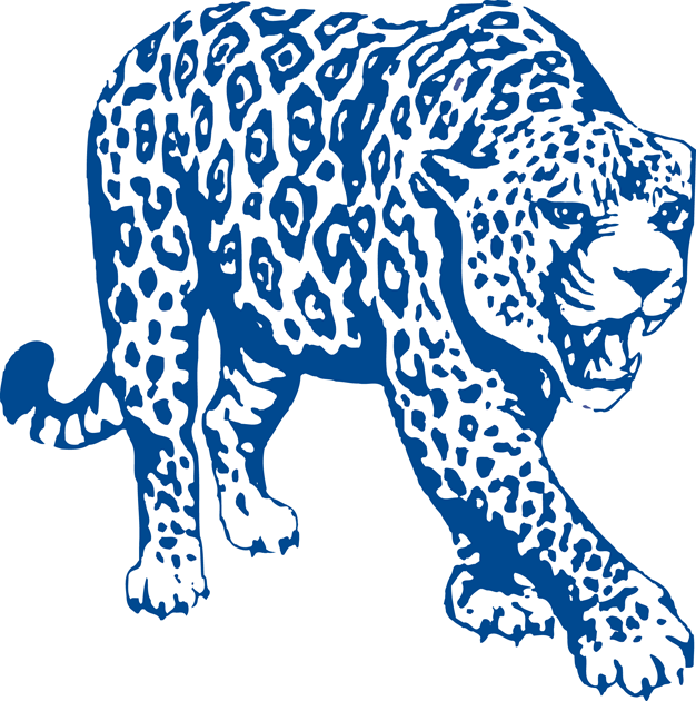South Alabama Jaguars 1993-2007 Partial Logo v2 iron on transfers for clothing